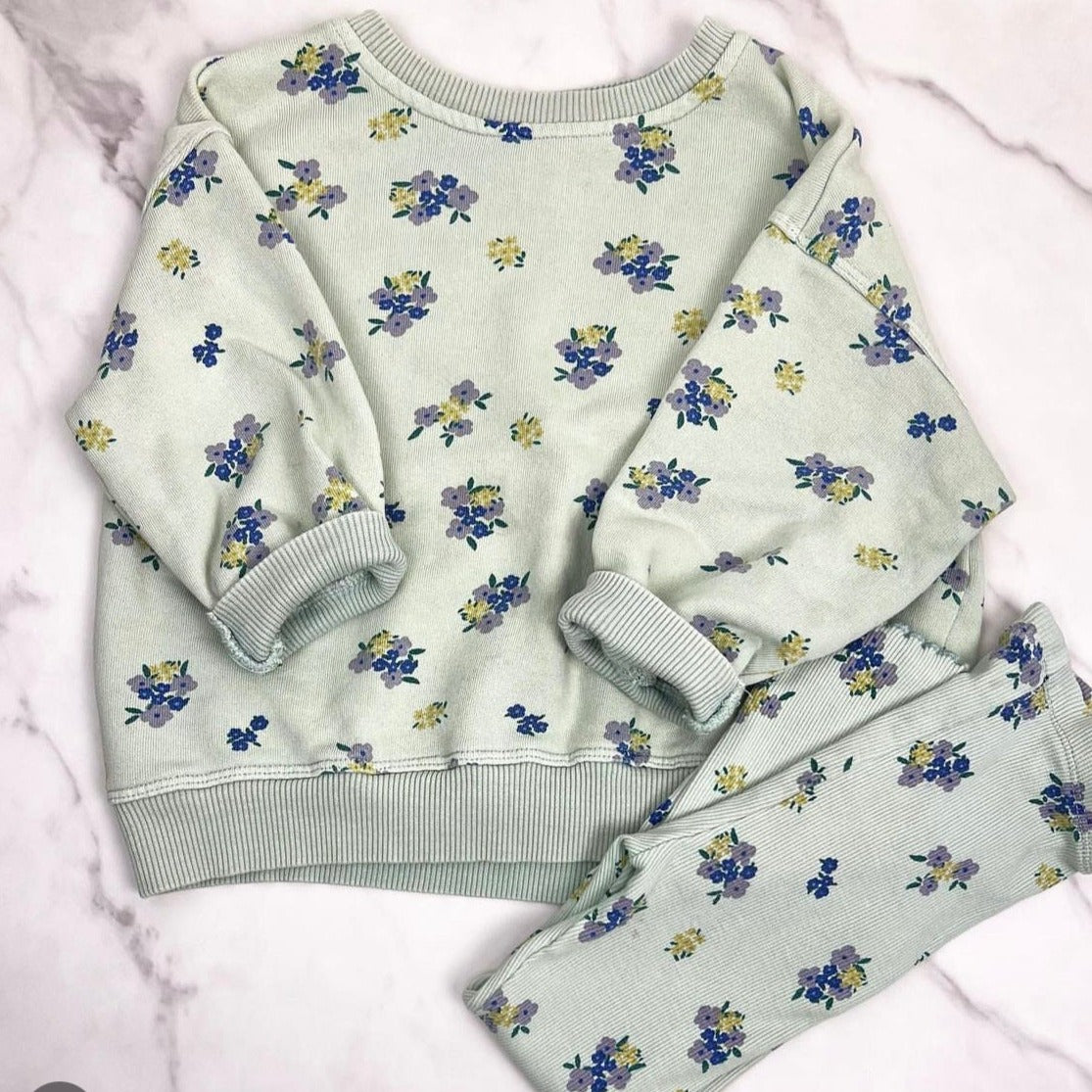 Floral Green Blue Sweater Leggings Set | 2-3T | Zara Kids